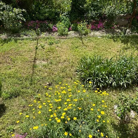 Sonya Apartmán Split