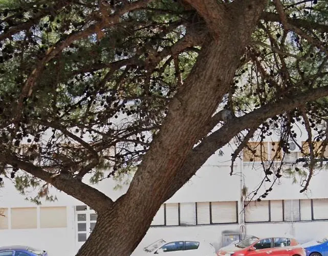 公寓 Sonya 斯普利特