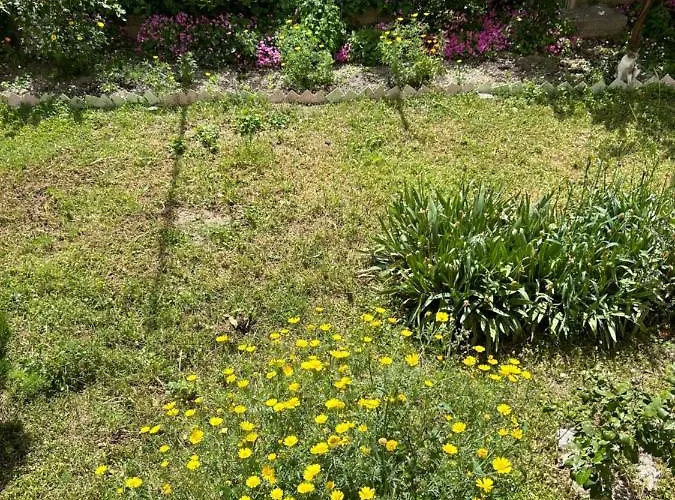 Sonya Apartamento Split