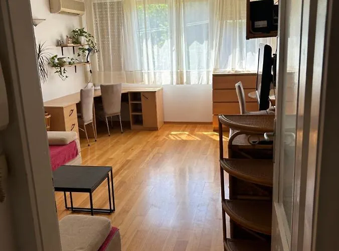 Apartamento Sonya *