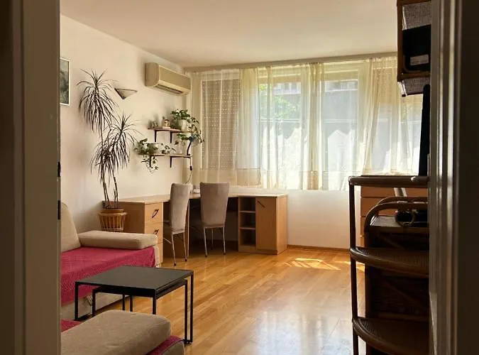 Sonya Apartment *
